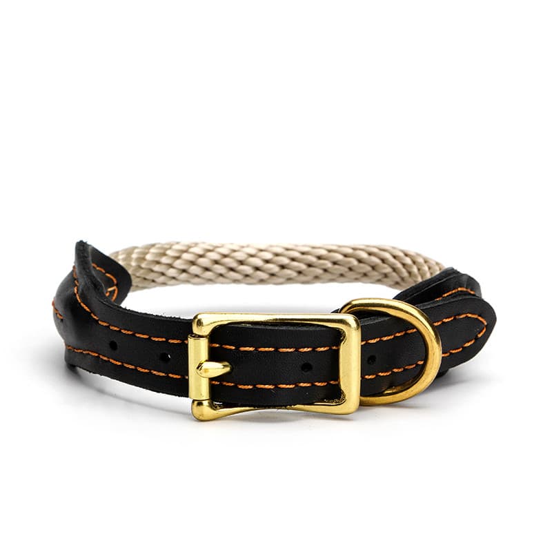 Collier pour chien en cuir de vache (boucle dorée, taille XS) — Chiens (photo 1 sur 1)