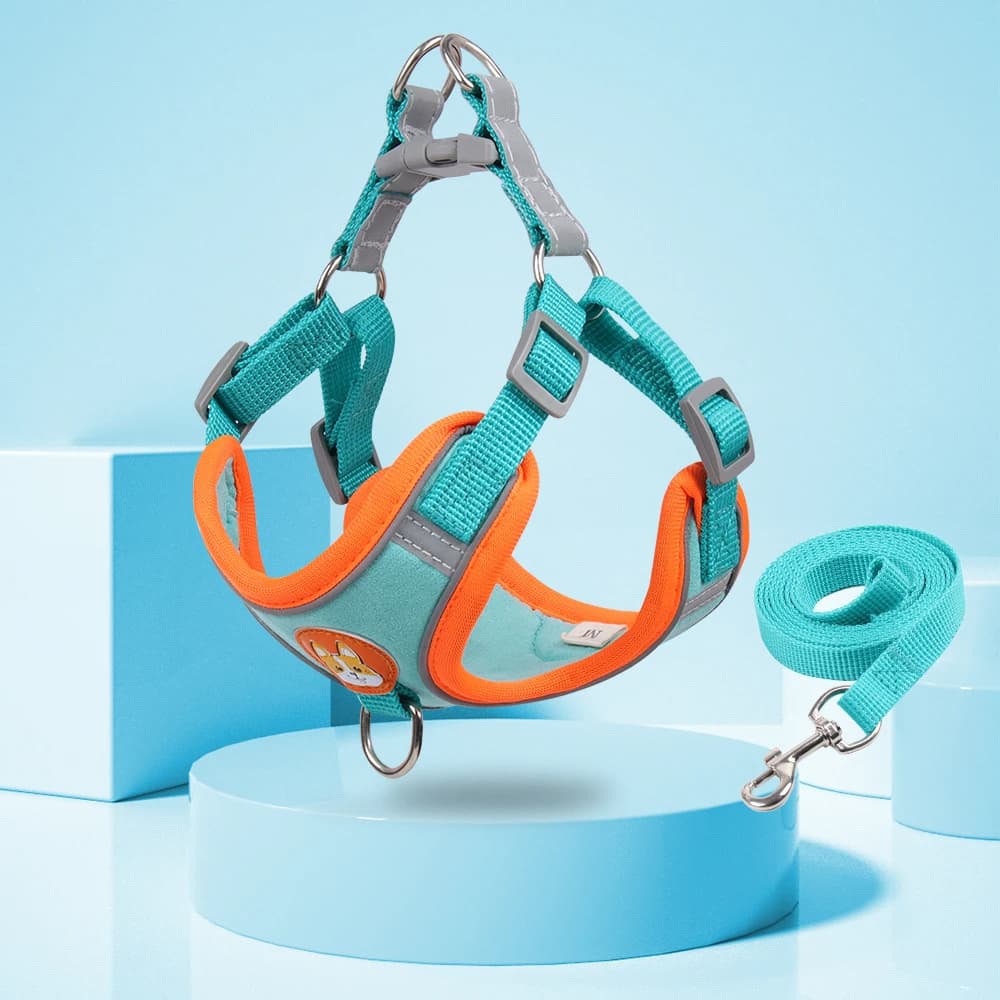 Set harnais et laisse pour petit chien (bleu et orange, taille S)
