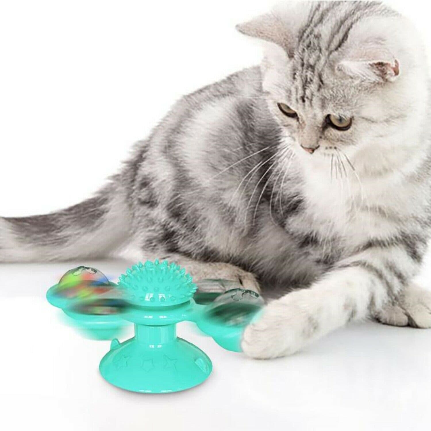 Jouet moulin à vent à ventouse pour chat (avec boule d'herbe à chat)