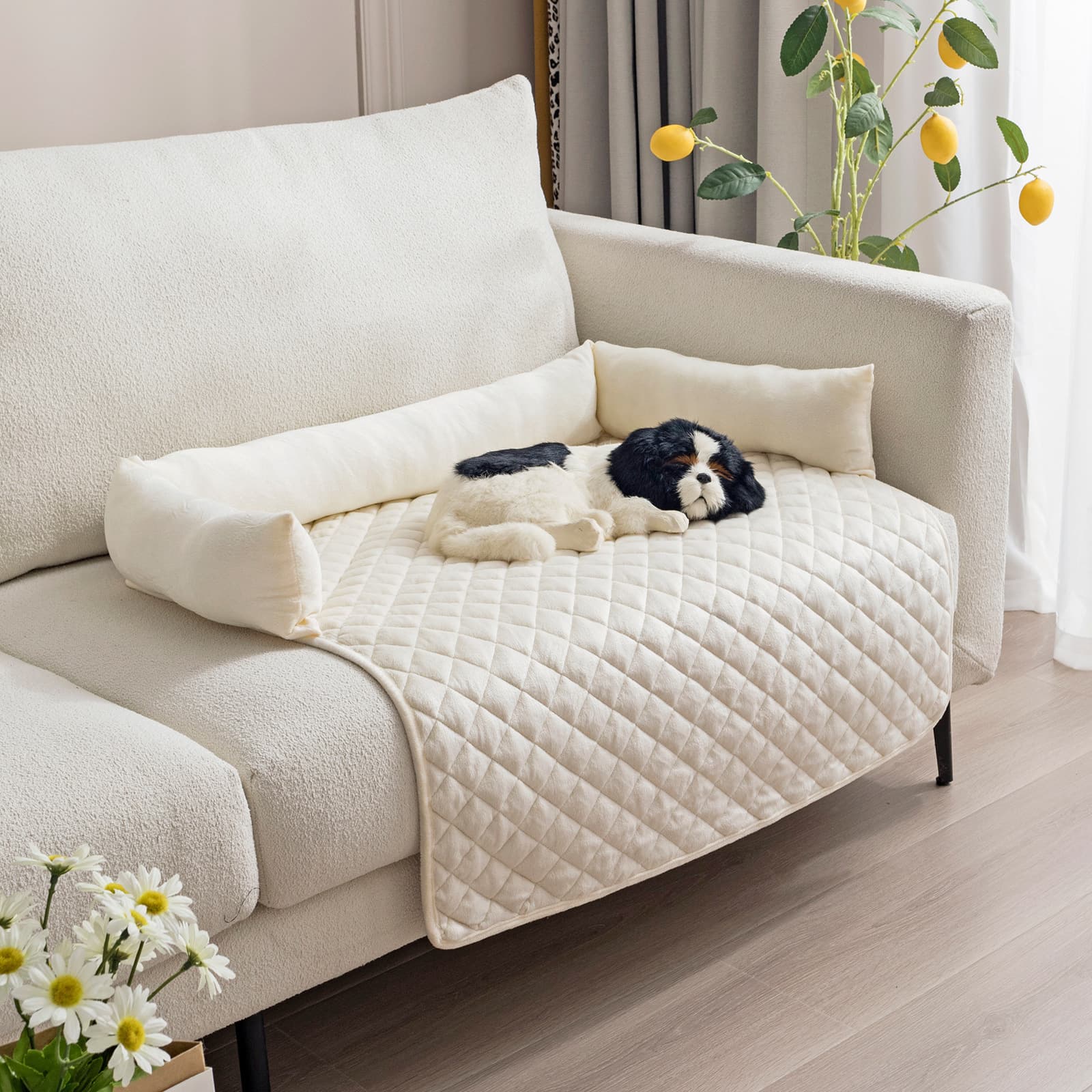 Protège-canapé pour chien avec coussin (beige, 75 x 75 cm)