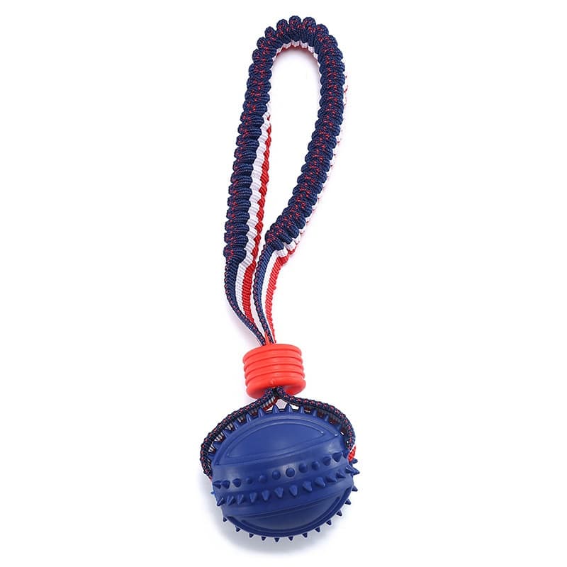 Balle à corde pour chien (forme rugby, bleu)
